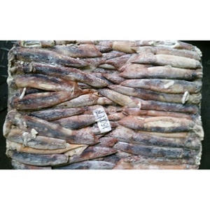 Catch150-200g sauvage rond entier congelé de haute qualité Illex Argentine calmar pour appât de thon matière première calmar Illex - Product Image 1