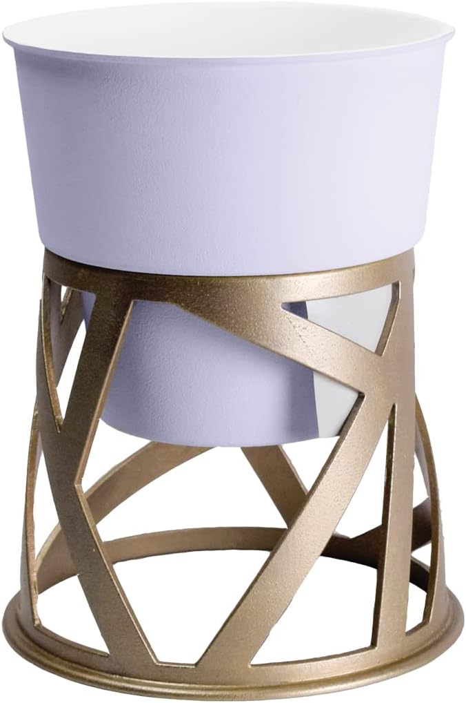 ตามที่แสดง