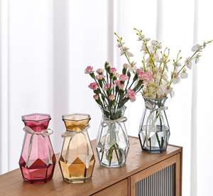 Arreglo floral transparente para el hogar, cultivado en agua, geométrico simple, florero de vidrio coloreado - Product Image 6