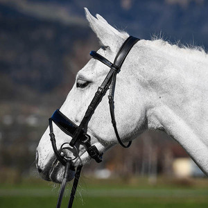 Bride de dressage - Product Image 3