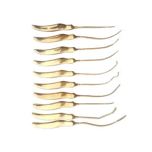 Instrumentos de Elevación de Cejas y Lifting Facial para Cirugía Plástica, Juego de 10 Piezas de Acero Inoxidable, Instrumentos Quirúrgicos Manuales - Product Image 2