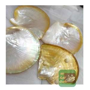 Assiette en nacre faite à la main en gros plat naturel poli pour service de caviar et collection de cadeaux - Product Image 1