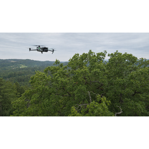 Inspecciones con drones para el control de árboles - Product Image 1