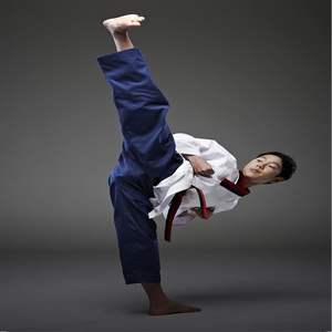 ชุดเครื่องแบบนักเรียนศิลปะการต่อสู้มีเชือกผูกยืดหยุ่นสำหรับเด็กและผู้ใหญ่ขนาด7ออนซ์พร้อมเข็มขัดโลโก้ตามสั่ง - Product Image 2