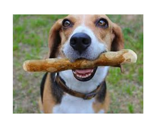 กาแฟของเล่นไม้ WoodDog เคี้ยวรูปร่างกระดูก/ธรรมชาติเป็นมิตรกับสิ่งแวดล้อมกาแฟไม้สุนัขเคี้ยวแท่งสัตว์เลี้ยงเล่นของเล่น - Product Image 4