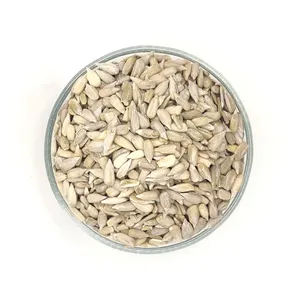 Wholesale High Quality Nuts Organic Sunflower Seeds SPK Kernels