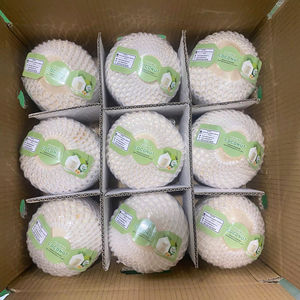 Vente en gros d'eau fraîche de noix de coco et d'agrumes du Vietnam pour les boissons d'été exportant de la qualité - Product Image 1