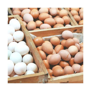 ไข่ไก่สดสีน้ำตาลและสีขาวสำหรับใช้ในฟาร์มไข่ไก่ออร์แกนิก - Product Image 5