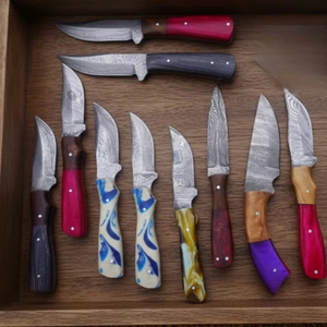 Ensemble de couteaux de chef en acier au carbone forgé à la main, quatre pièces, 10 pièces, multicolores, manche en bois, haute qualité, durable, ambidextre - Product Image 1