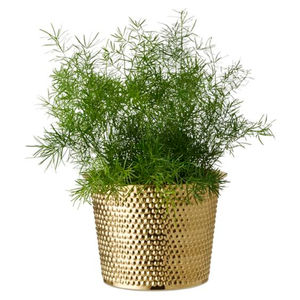 Antique Design Pot De Fleur Creative Jardin Jardinières Décor Intérieur Plantes Pot Fleurs Herbes Conteneur Par Les Fournisseurs Indiens - Product Image 1