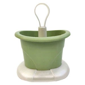 Scolaposate Colore Madreperla/Tortora - Product Image 1