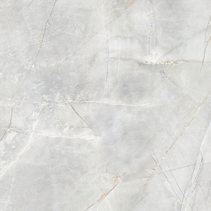 Obtenez une esthétique moderne et une durabilité avec les carreaux en porcelaine indiens de 600x600 mm, aspect moderne, qualité de marbre haut de gamme pour la maison et le bureau - Product Image 4