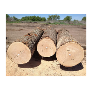 Natural <b>Oak</b> Wood <b>Logs</b> Round White <b>Oak</b> Red <b>Oak</b> Timber for Construction and Woodworking Use - Product Image 3