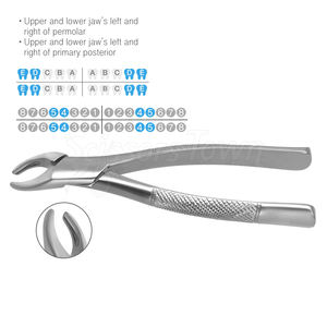 Fórceps de Extracción Dental Ergonómicos de Acero Inoxidable para una Extracción Dental Controlada y Cómoda - Product Image 6