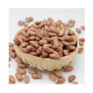 Haricots rouges biologiques (Haricots pinto) Emballage en vrac - Product Image 1