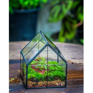 Terrario de vidrio transparente de diseño impresionante para mesa suculenta hogar y oficina decorar planta decorar en acabado negro - Product Image 2