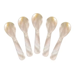 Cuillère en nacre fabriquée à la main à base de coquille naturelle Ustensile élégant et écologique Parfait pour les épices au sel de caviar - Product Image 1