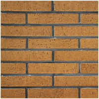 Briques d'argile naturelles modernes et anciennes pour la décoration murale, briques réfractaires autoclavées, ciment fritté mince, résistantes aux acides, élégantes
