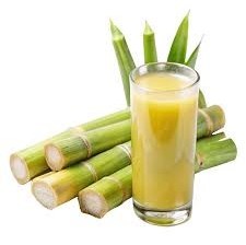 Jugo de Caña de Azúcar Listo para Beber con Kumquat en Lata para Tiendas de Conveniencia y Máquinas Expendedoras - Product Image 5