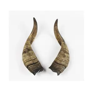High quality goat horn cup easy carrying with lid India handicraft and handmade use for at best price natural craft