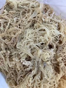 Wildcrafted <b>SEAWEED</b> - EUCHEUMA COTTONII Laver Dried Seasoned Bag Packaging With High Quality - Product Image 4