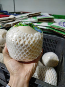 มะพร้าวสดเขตร้อนเก็บเกี่ยวด้วยความระมัดระวังส่งมอบด้วยคุณภาพ - Product Image 6