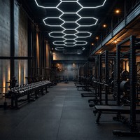 Lámpara de rejilla moderna para gimnasio y centro de fitness, iluminación interior decorativa para estudio de fitness con ambiente motivacional - 1