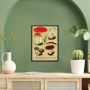 Impression artistique vintage éducative de champignons Fly Agaric pour décoration murale - Product Image 4