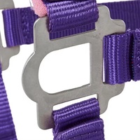Bridons et harnais pour chevaux de haute qualité, les plus vendus, avec sangle personnalisable, couleur personnalisable, logo personnalisé, en cuir, marque privée, OEM/ODM