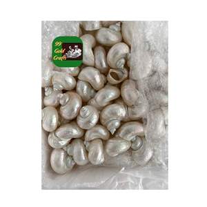 แหวนผ้าเช็ดปากเปลือกหอยทำด้วยมือจากวัสดุเปลือกธรรมชาติที่วางขัดเงาสร้างสรรค์สำหรับตกแต่งโต๊ะและงานฝีมือสำหรับรับประทานอาหาร - Product Image 3