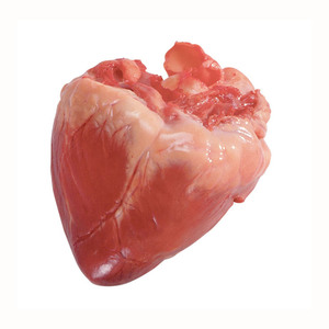 Mejillones de aves de corral de cerdo congelados de alta calidad Corazones de cerdo Estilo seco con partes del cuerpo incluidas de grasa Venta al por mayor - Product Image 5