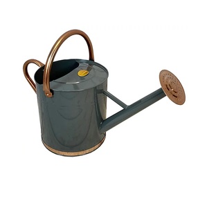 Top tendance Jardin décoré en acier galvanisé vintage pot de fleur enduit de poudre plante bon marché arrosoir en métal - Product Image 6