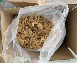 มอสส์ทะเลแห้งราคาที่แข่งขันที่ดีที่สุดเกรดผู้ผลิตที่เลือกจากเวียดนาม - Product Image 6