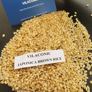 ข้าวสีน้ำตาลทรงกลมข้าวซูชิสีน้ำตาลข้าวพรีเมี่ยมเพื่อสุขภาพส่งออก - Product Image 5