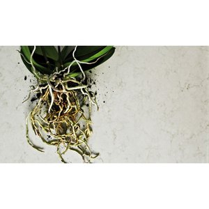 Placa de Cuarzo Premium UNION London Grey - Diseño Moderno de 15-30 mm de Grosor, Duradera, Impermeable y Ecológica para Renovaciones de Cocina y Baño - Product Image 3