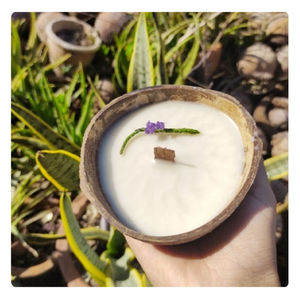MEILLEUR CHOIX | Bougie en cire de noix de coco écologique | Fabriqué à la main et durable | Décoration d'intérieur de qualité supérieure - Product Image 5