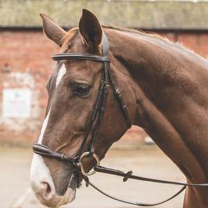 Bride Flash en cuir rembourré - Product Image 4