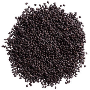 Semillas de albahaca orgánicas de alta pureza, pequeñas, ovaladas, envasadas a granel, calidad premium, Sunrise Impex, larga vida útil, ideales para el procesamiento de alimentos. - Product Image 2