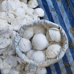 Morceau de tasse en caoutchouc naturel du Vietnam: de haute qualité, de qualité standard avec un motif liquide, meilleur prix pour vos besoins. - Product Image 1