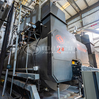 Caldera de Vapor de Combustible Ligero de 2t, 3t y 4t para Ahorro de Energía en Fábricas Textiles
