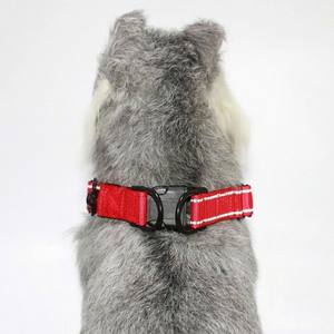 Laisse et collier durables, souples et ajustables en polyester et nylon à motif animalier moderne pour chats et chiens, fabriqués au Vietnam - Product Image 5