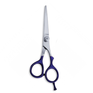 Ciseaux de salon de beauté avec embout à vis amovible, manche bleu revêtu, ciseaux de coupe de cheveux de salon, lame droite en acier métallique - Product Image 6