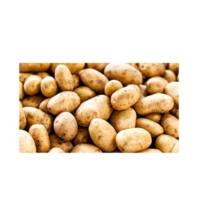 "Patatas baratas a la venta, patatas frescas y de alta calidad para restaurantes, cocina casera y minoristas" - Product Image 4