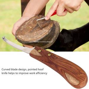 Wholesale Price Ferrier Hoof Knife Equine for Cleaning and Trimming Hoof Sheep Goats Cows and Cattle Farrier Tools - Product Image 3