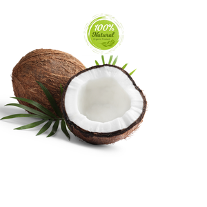 Coco seco para modelos económicos sostenibles en la agricultura - Product Image 3