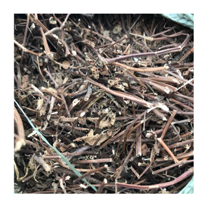 Feuilles de gelée d'herbe noire du Vietnam 100% pures, meilleur prix d'exportation, approvisionnement en vrac disponible - Product Image 1