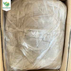 VIET THIEN PHU-RAW NATA DE COCO PAS CHER PRIX DU VIETNAM - Product Image 4