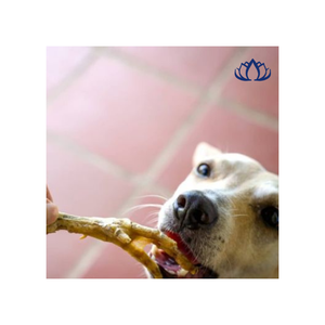 Pieds de canard au poulet lyophilisés Cou de cœur Friandise pour chien Marque privée OEM Collations pour animaux de compagnie Goût de boeuf pour chat Emballé dans un sac - Product Image 1