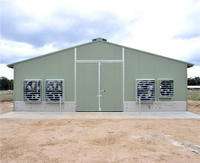 Estructura de Acero para Construcción Comercial, Edificio Agrícola, Gallinero, Nave para Patos con Sistema de Ventilación de Túnel