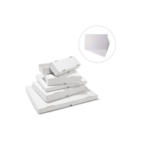 Cartón FBB Blanco Resistente para Fabricación de Cajas de Papel para Envasado de Alimentos y Bebidas al Mejor Precio